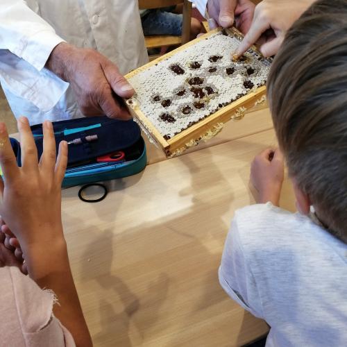 Bienen