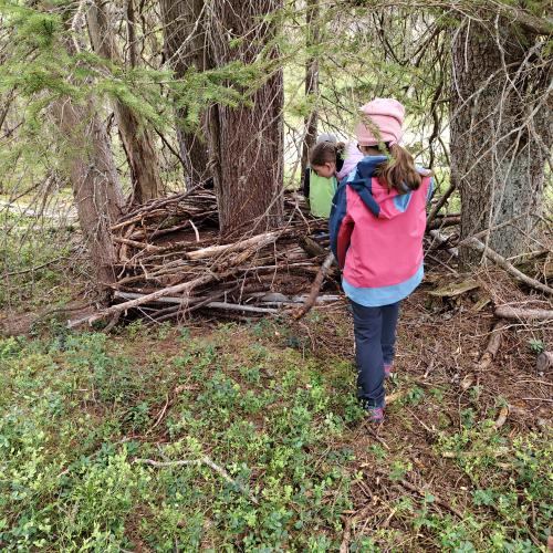 Natur