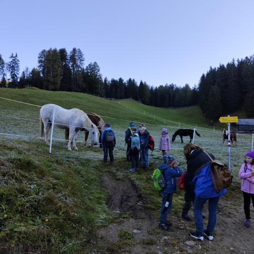Wandertag