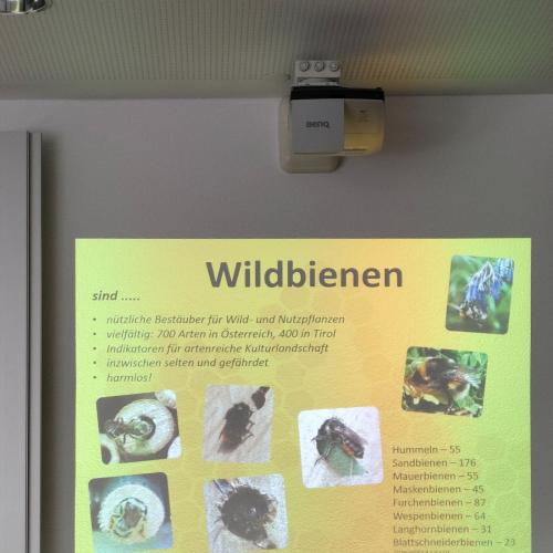 Bienen