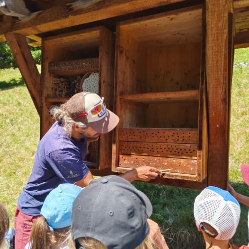 Bienen