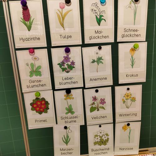 Lapbook