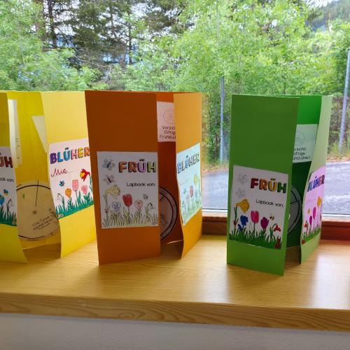 Lapbook