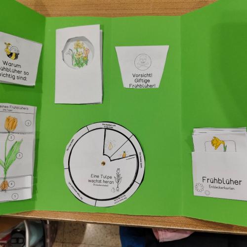 Lapbook
