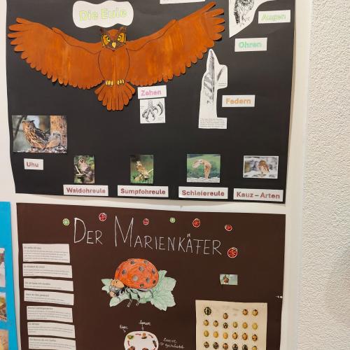 Referat