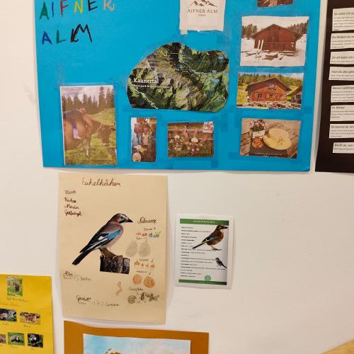 Referat