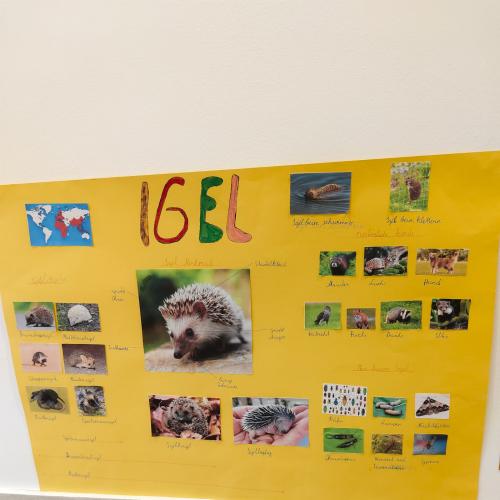 Referat