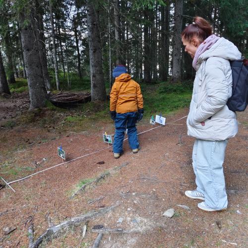 wandertag