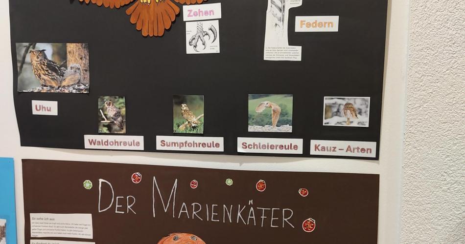 Referat