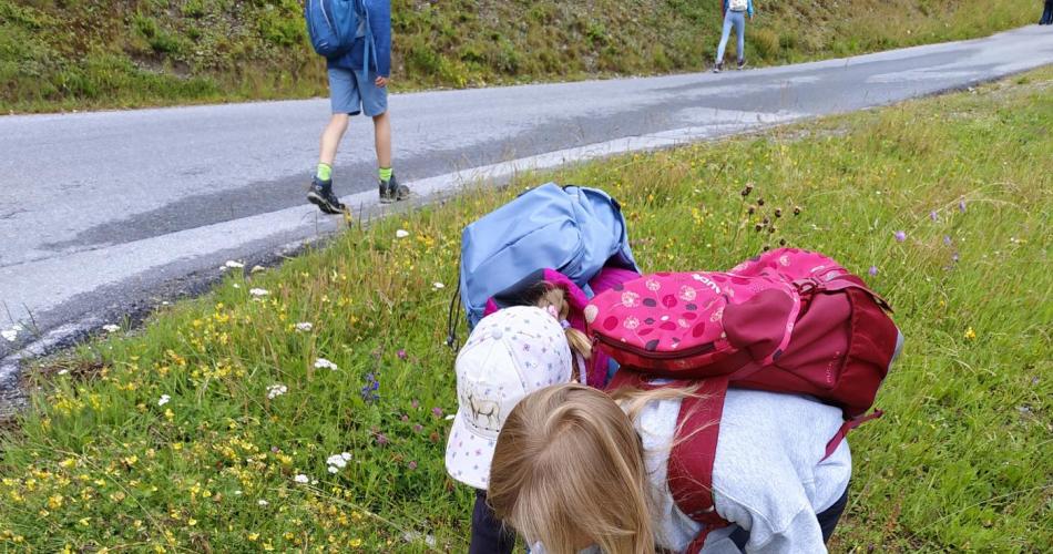 Samen